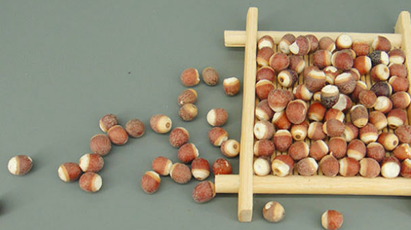 芡實(shí)葉
