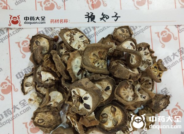 預(yù)知子