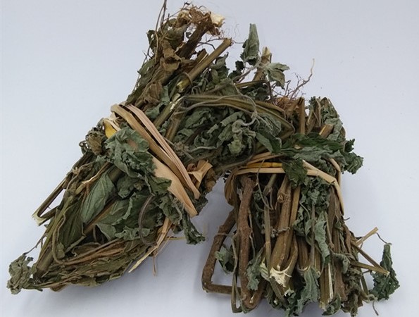 防風草