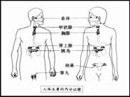內分泌失調 內分泌失調