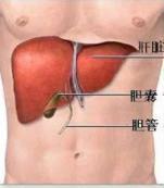 肝炎后綜合征 肝炎后綜合征