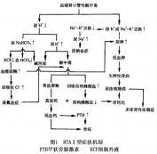 I型腎小管性酸中毒 I型腎小管性酸中毒