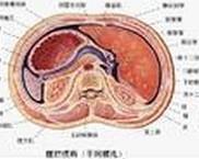 眼瞼丹毒 眼瞼丹毒