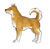 小兒狂犬病