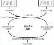 獲得性循壞抗凝物質增多綜合征 獲得性循壞抗凝物質增多綜合征