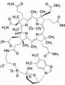 維生素B12缺乏所致貧血 維生素B12缺乏所致貧血