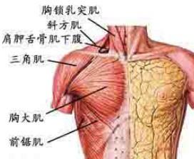 胸壁腫瘤 胸壁腫瘤