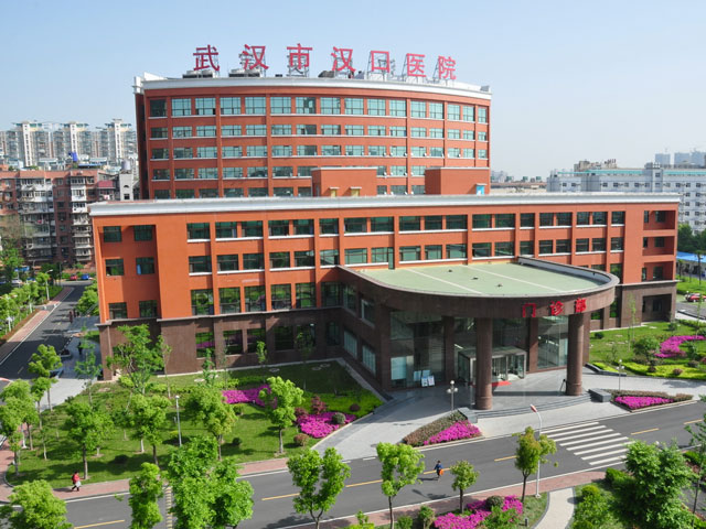 武漢市漢口醫院