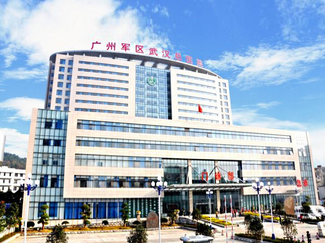 中國人民解放軍廣州軍區武漢總醫院