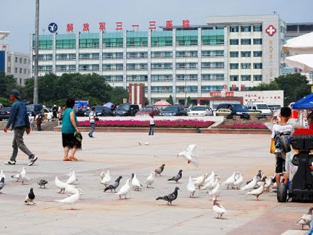中國人民解放軍第三一三醫院